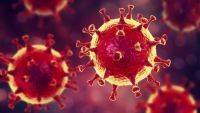 COVID România: 17.447 de noi infectări cu SARS-CoV-2 şi 171 de decese în ultimele 24 de ore