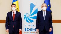 Vicepremierul Nicu Popescu a avut o întrevedere cu secretarul general al Organizaţiei Cooperării Economice la Marea Neagră (OCEMN), Lazăr Comănescu