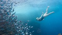 Femeia care poate coborî până la 70 de metri sub apă fără tub de oxigen. „Nici nu ştiam că e omeneşte posibil”