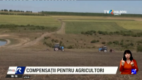 Agricultorii din R. Moldova pot depune dosarele pentru a beneficia de compensaţii parţiale la acciza pentru motorină
