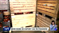 Un agricultor din Soroca riscă să-şi arunce toată producţia la gunoi. Bărbatul are 400 de tone de mere stocate în frigider