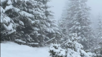 VIDEO. Început de aprilie cu ninsori abundente la munte. Imagini din Maramureş, unde stratul de zăpadă se apropie de 30 de centimetri