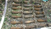 Geniştii Armatei Naţionale au nimicit 81 obiecte explozive pe parcursul lunii aprilie
