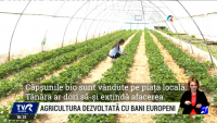 Campania TVR MOLDOVA despre beneficiile parteneriatului cu Uniunea Europeană. Afacerile de succes ale fermierilor, derulate cu fonduri europene